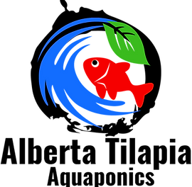 Alberta Tilapia Aquaponics Logo