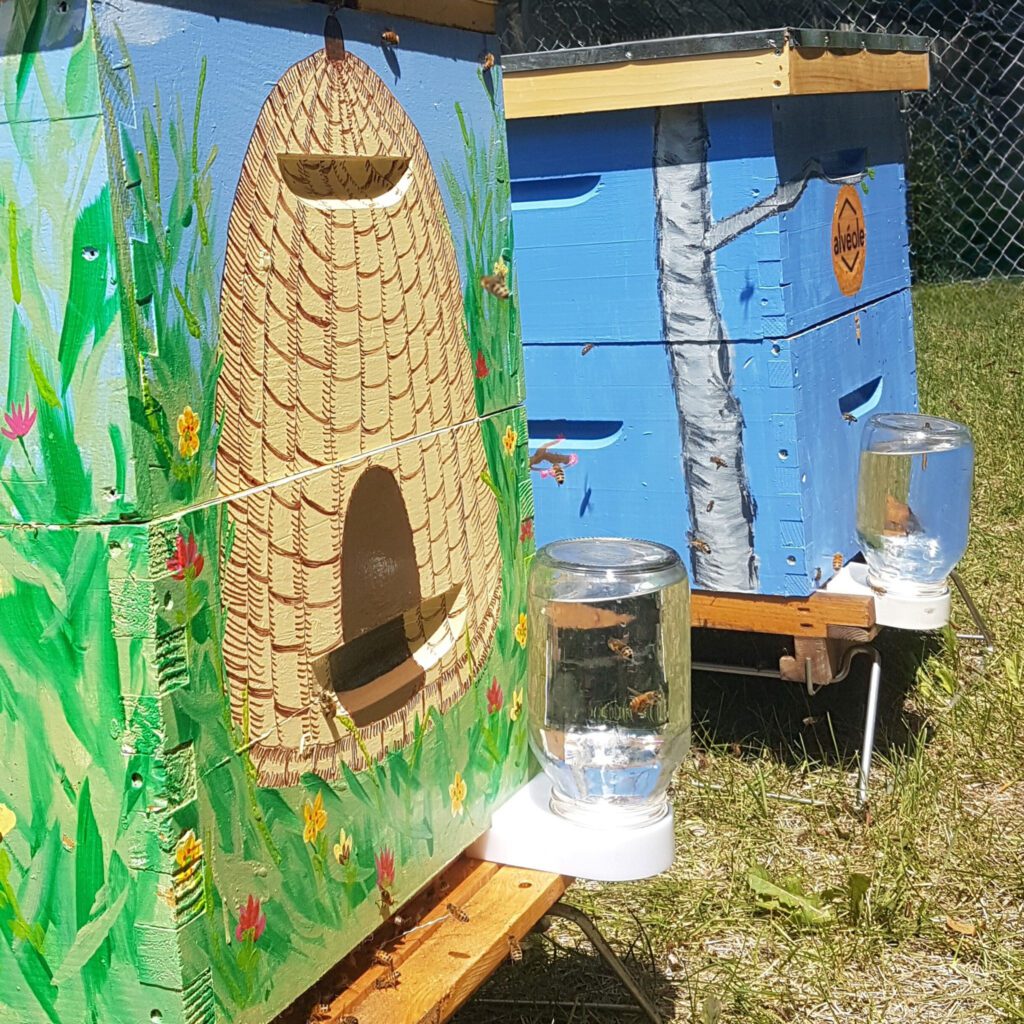 AMA beehives