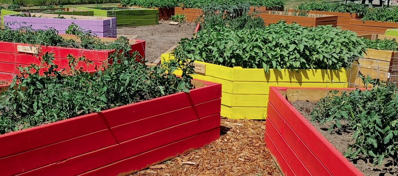 Clairmont Community Garden