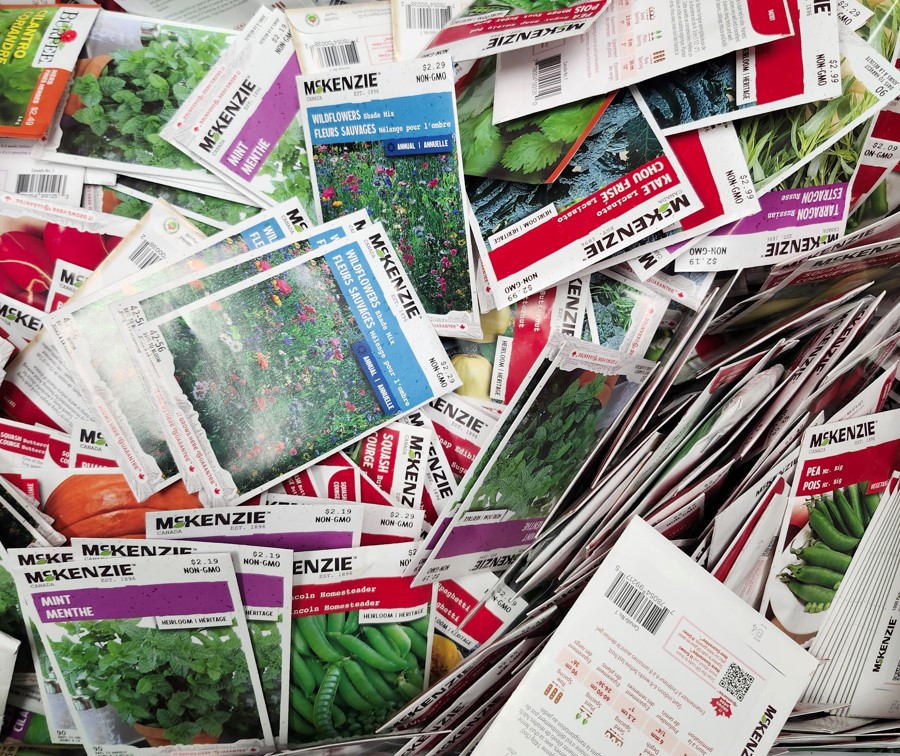 We’re Giving Away Free Seeds!