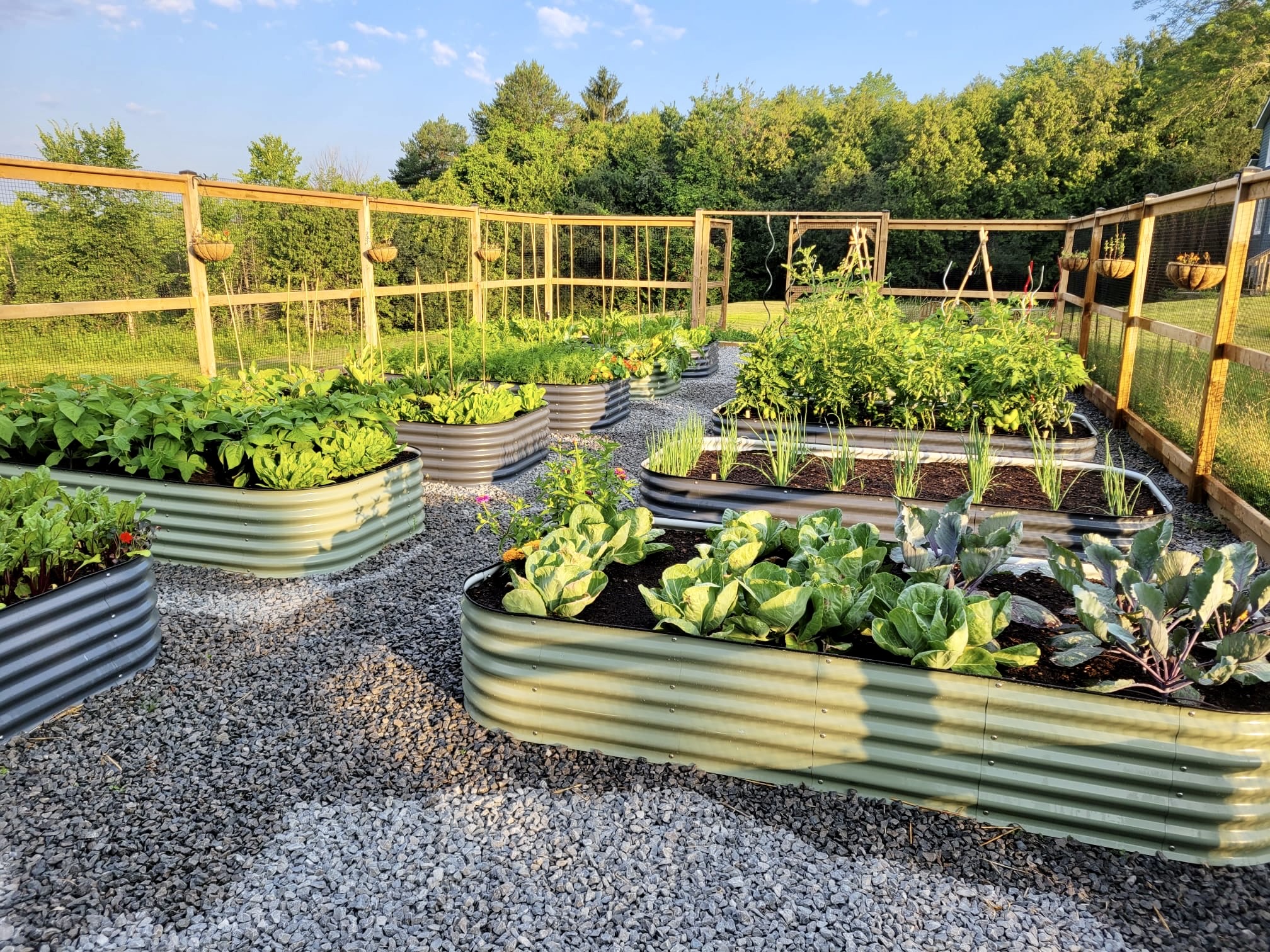 Sproutbox Garden