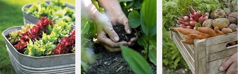 Partner Profile: Urban Farm School