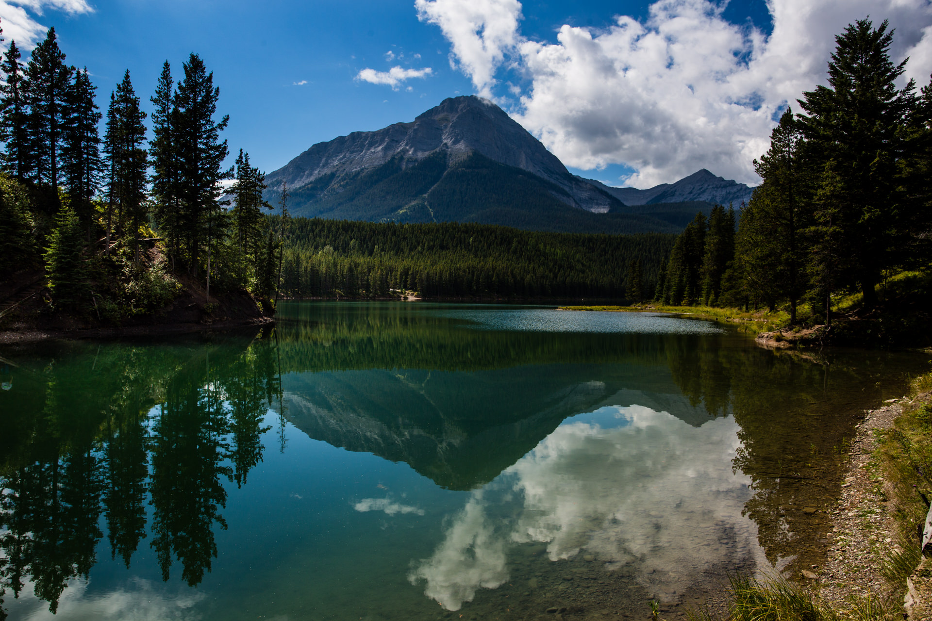Alberta Council for Environmental Education
