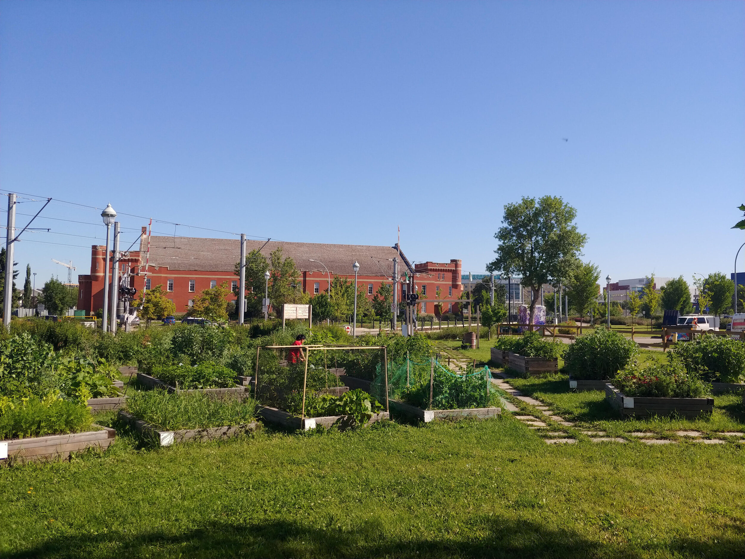 Sustainable Food Edmonton