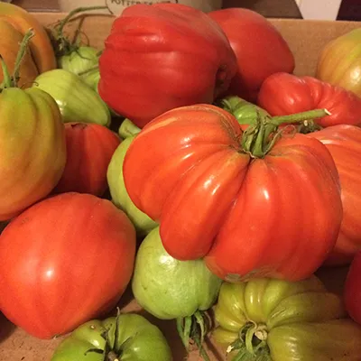 NEW Resources Available for Grade 10